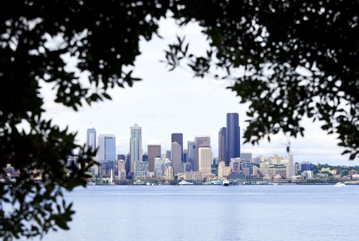 View of Seattle skyline through the tree silhouette
