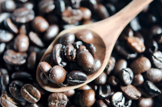Close-up  of coffee beans and wooden spoon 