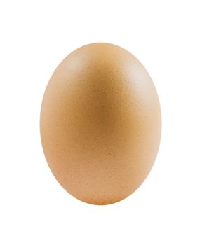 one  brown egg on white background .