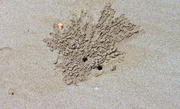 The inscription on the sand