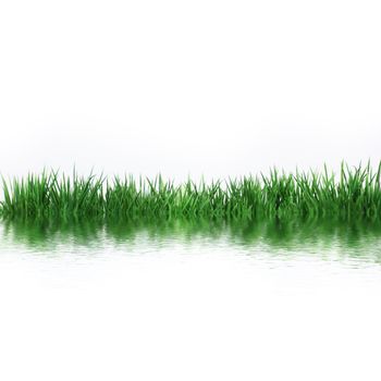 green field on white background