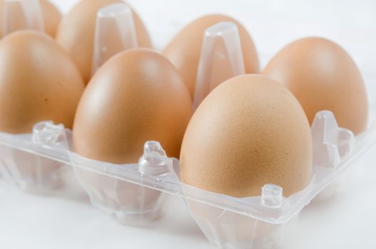 brown eggs in the package on white background