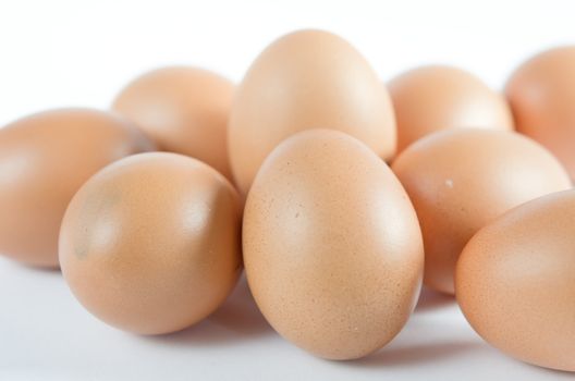 close up of brown eggs  on white background