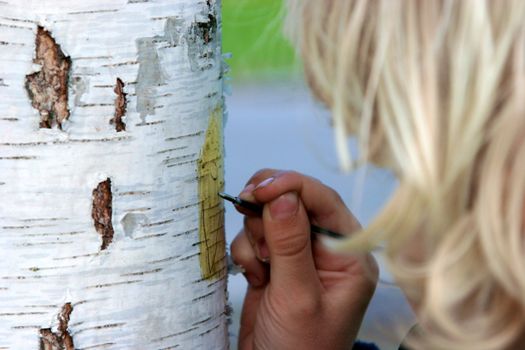 Boy chipping bark of a tree in woods
