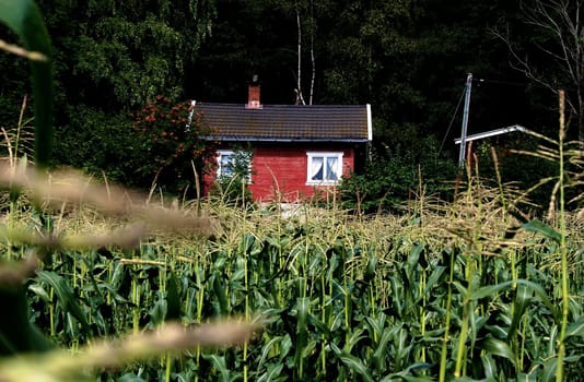 field and farm house