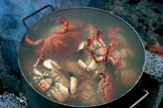 Cooking crabs