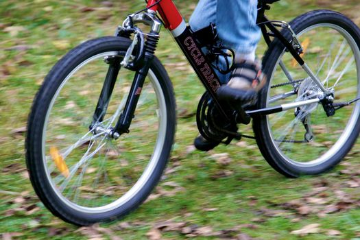 Man Mountain Biking on Rugged Trail