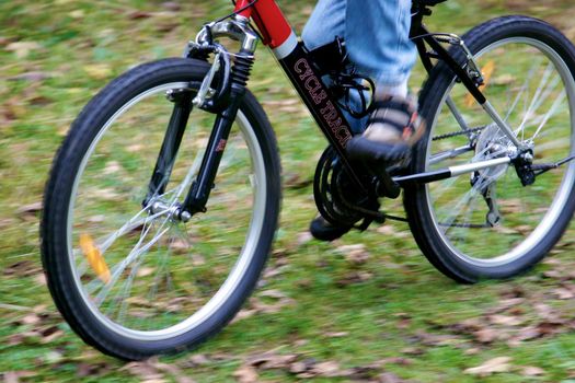 Man Mountain Biking on Rugged Trail