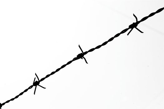 A barbed wire fence.