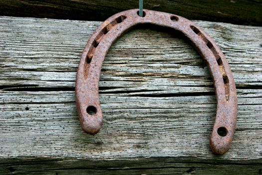 One old rusty horseshoe
