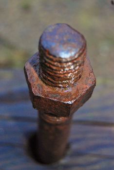 rusty screw and nut closeup