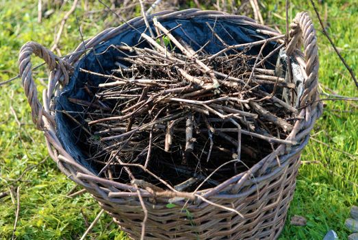 a pile of cut sticks and dried branches - backyard background