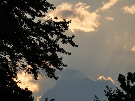 Sunset with clouds and silhouette of trees