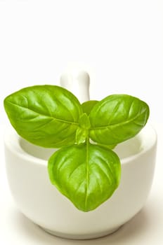 basil with mortar