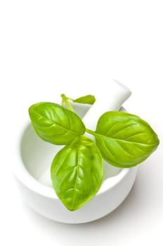 basil with mortar