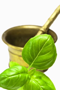 basil with mortar