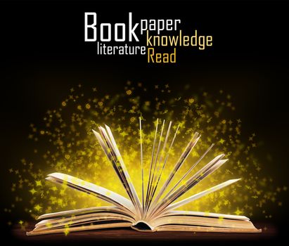 Book. Opened book with special light. Education