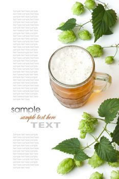 Beer and hop isolated on a white background