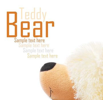 teddy bear