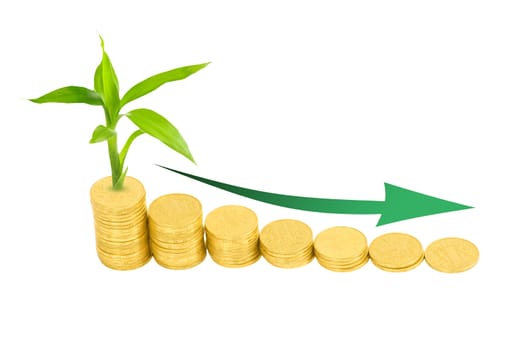 gold coins and plant isolated on white