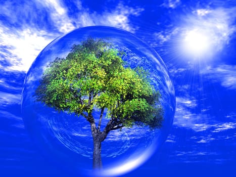 green tree in a transparent bubble