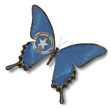 Northern Mariana Islands flag on butterfly isolated on white