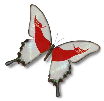  Rapa Nui flag on butterfly isolated on white