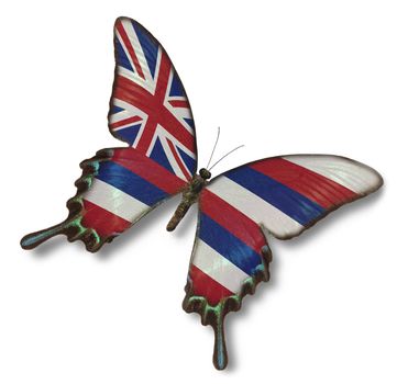 Hawaii flag on butterfly isolated on white