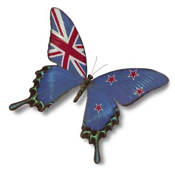 New Zealand flag on butterfly isolated on white