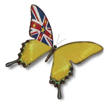 Niue flag on butterfly  isolated on white