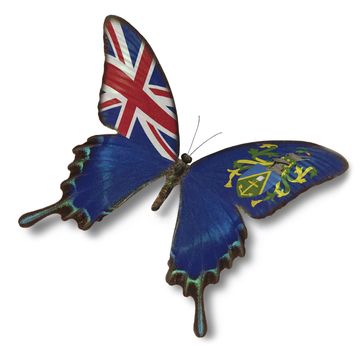 Pitcairn Islands flag on butterfly isolated on white