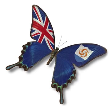 Anguilla flag on butterfly isolated on white