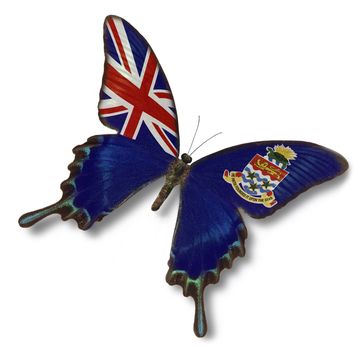 Cayman Islands flag on butterfly isolated on white