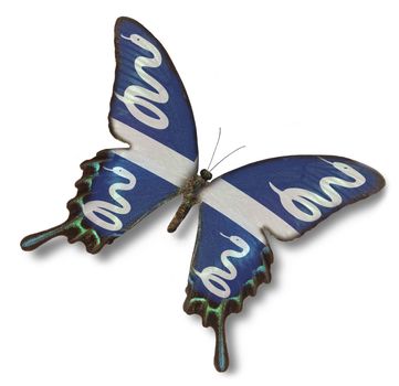 Martinique flag on butterfly isolated on white
