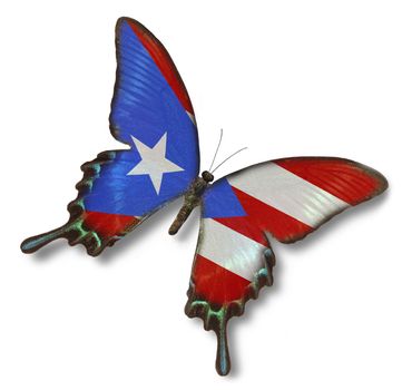 Puerto Rico flag on butterfly isolated on white