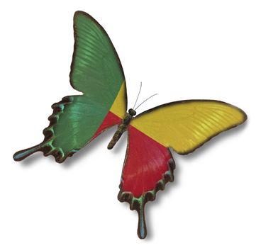 Benin flag on butterfly isolated on white