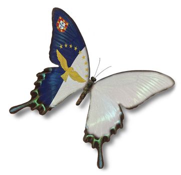 Azores flag on butterfly isolated on white