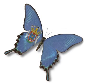 Melilla flag on butterfly isolated on white