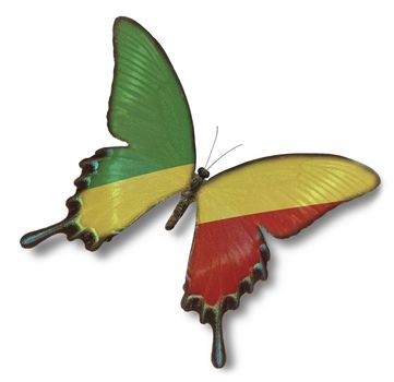 Republic of the Congo flag on butterfly isolated on white