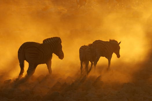 Sunset at Okaukeujo waterhole, Namibia