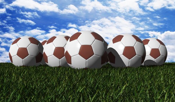 Brown soccer balls on a green grass