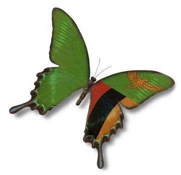 Zambia flag on butterfly isolated on white