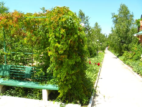 Beautiful park with bushes, trees and pathes