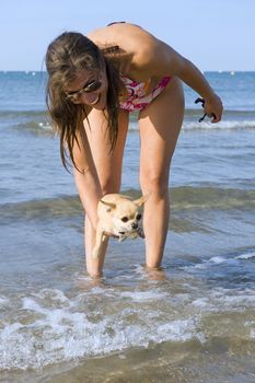 portrait of a cute purebred  chihuahua and young woman on the beach