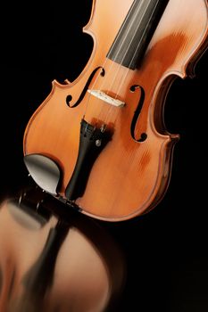 Elegant shot of a violin