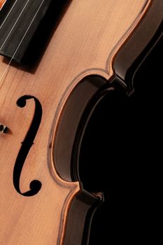 Elegant shot of a violin