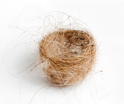 Birds nest made from woven grass hair and feathers isolated against white