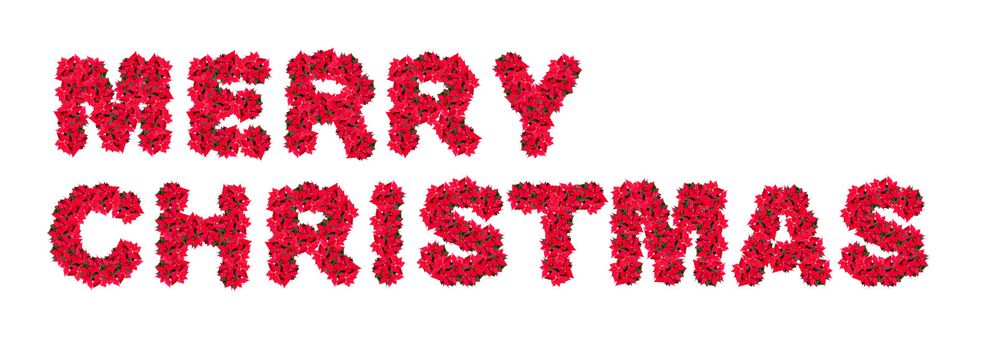 Merry Christmas Sign Made of Christmas Flower - Poinsettia (Euphorbia pulcherrima) - Isolated on White