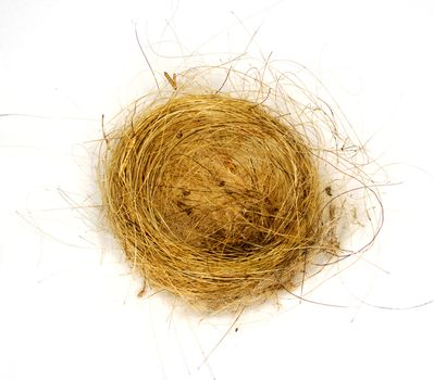 Birds nest made from woven grass hair and feathers isolated against white