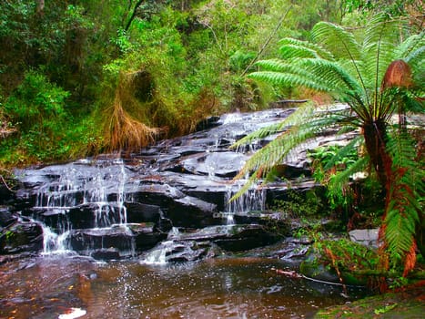 Rainforest cascade in the Great Otway National Park of southern Victoria, Australia. 